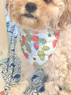 Bobby Scarf (Reversible)