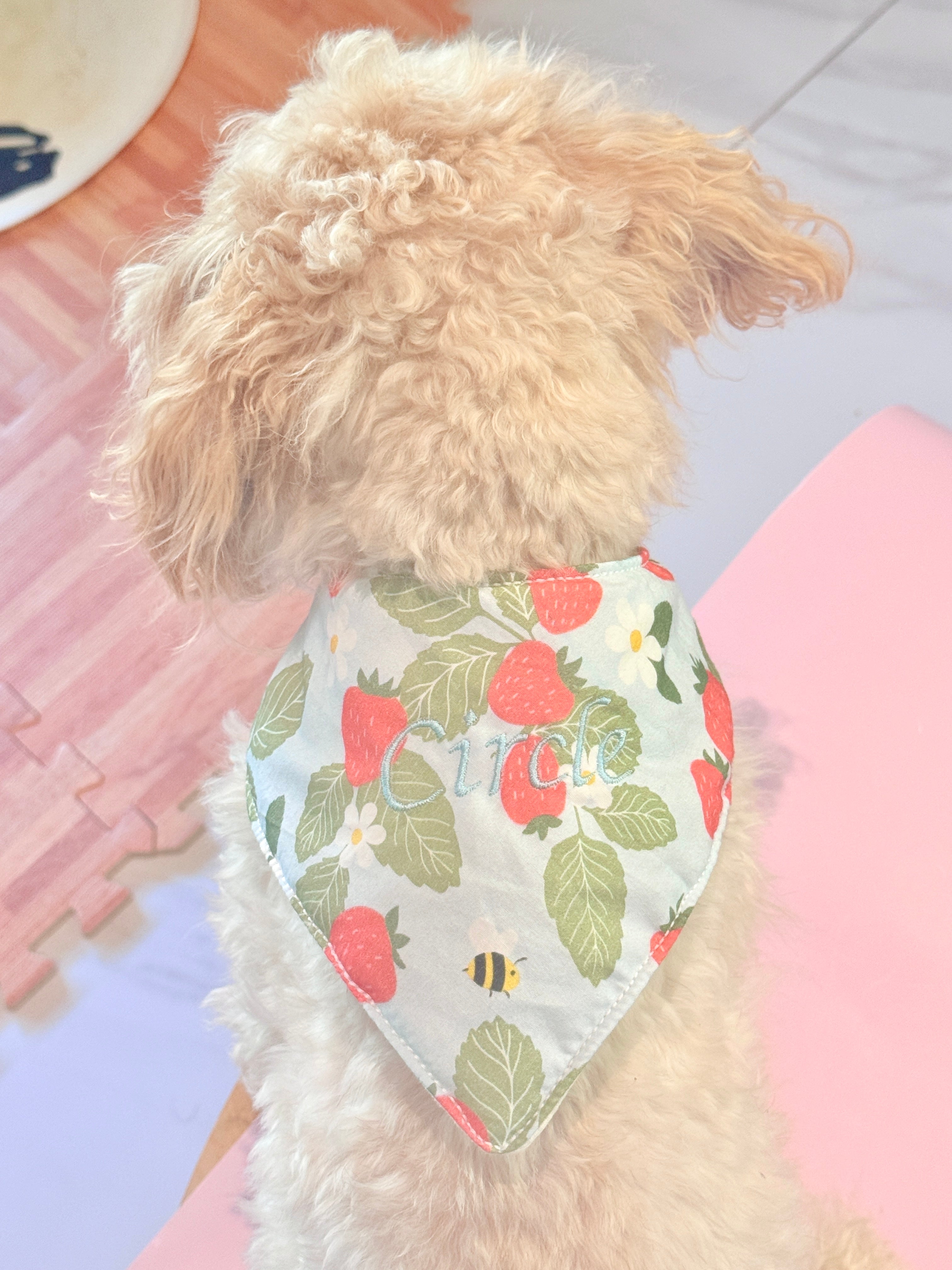 Bobby Scarf (Reversible)